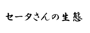 セータさんの生態